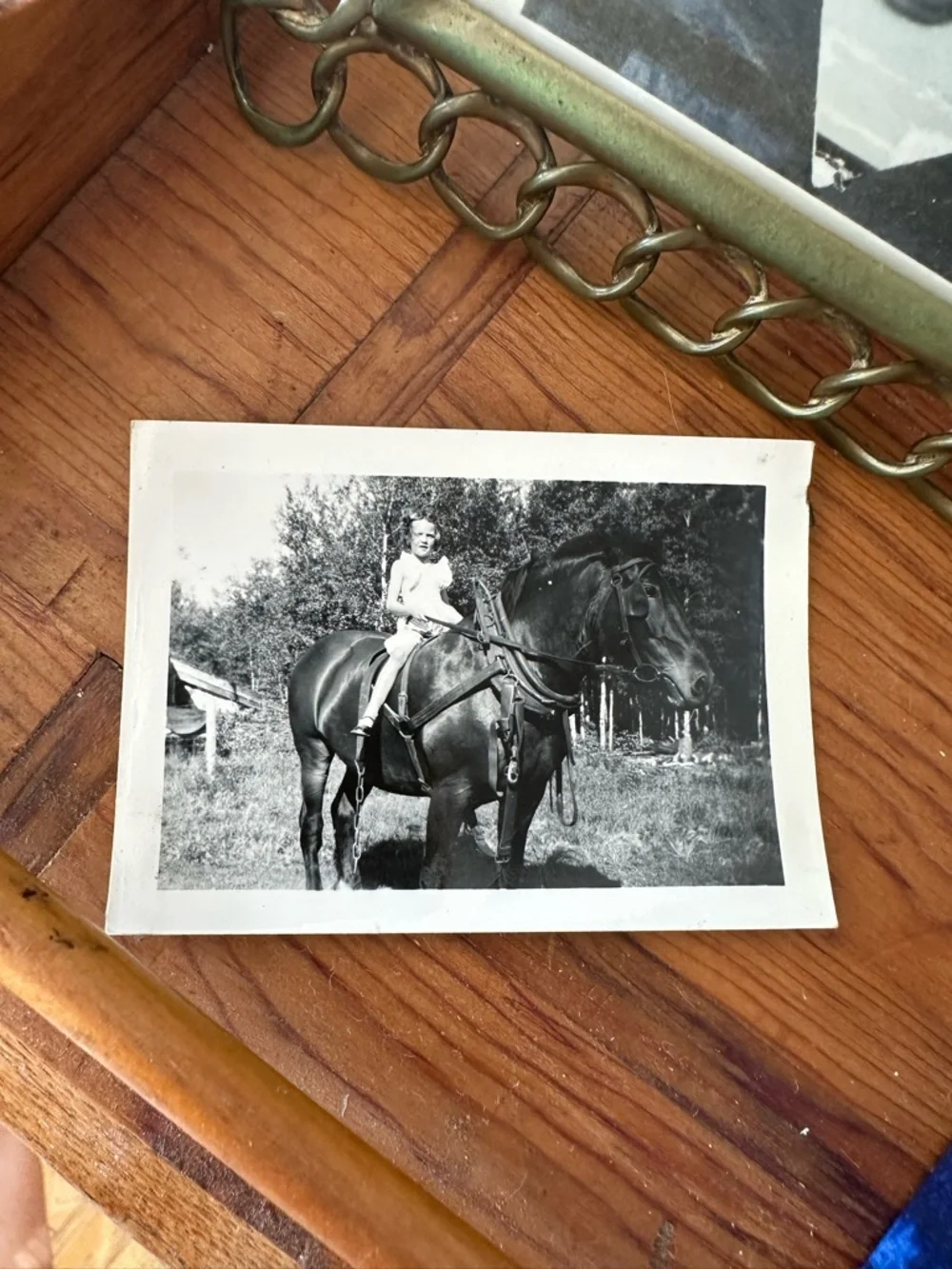 Vintage Photo of Girl on Horse C 1930 - Picture 5 of 5